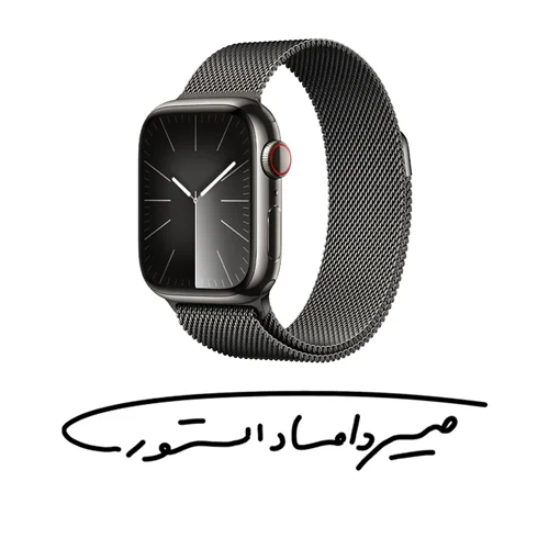 ساعت هوشمند اپل سری 9 - 45mm - بدنه استیل با بند میلانس